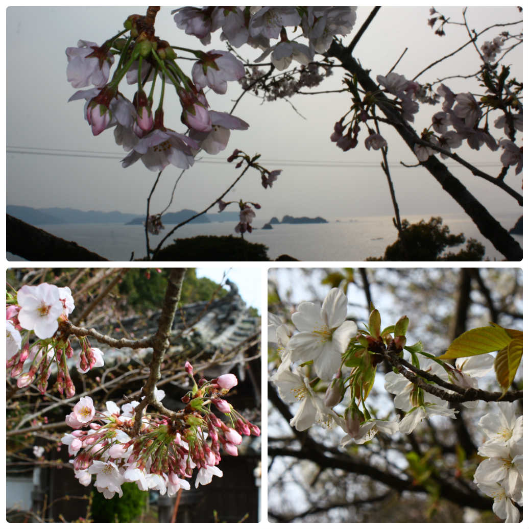 16.3.30.jpg