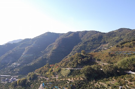 20151030190832.jpeg