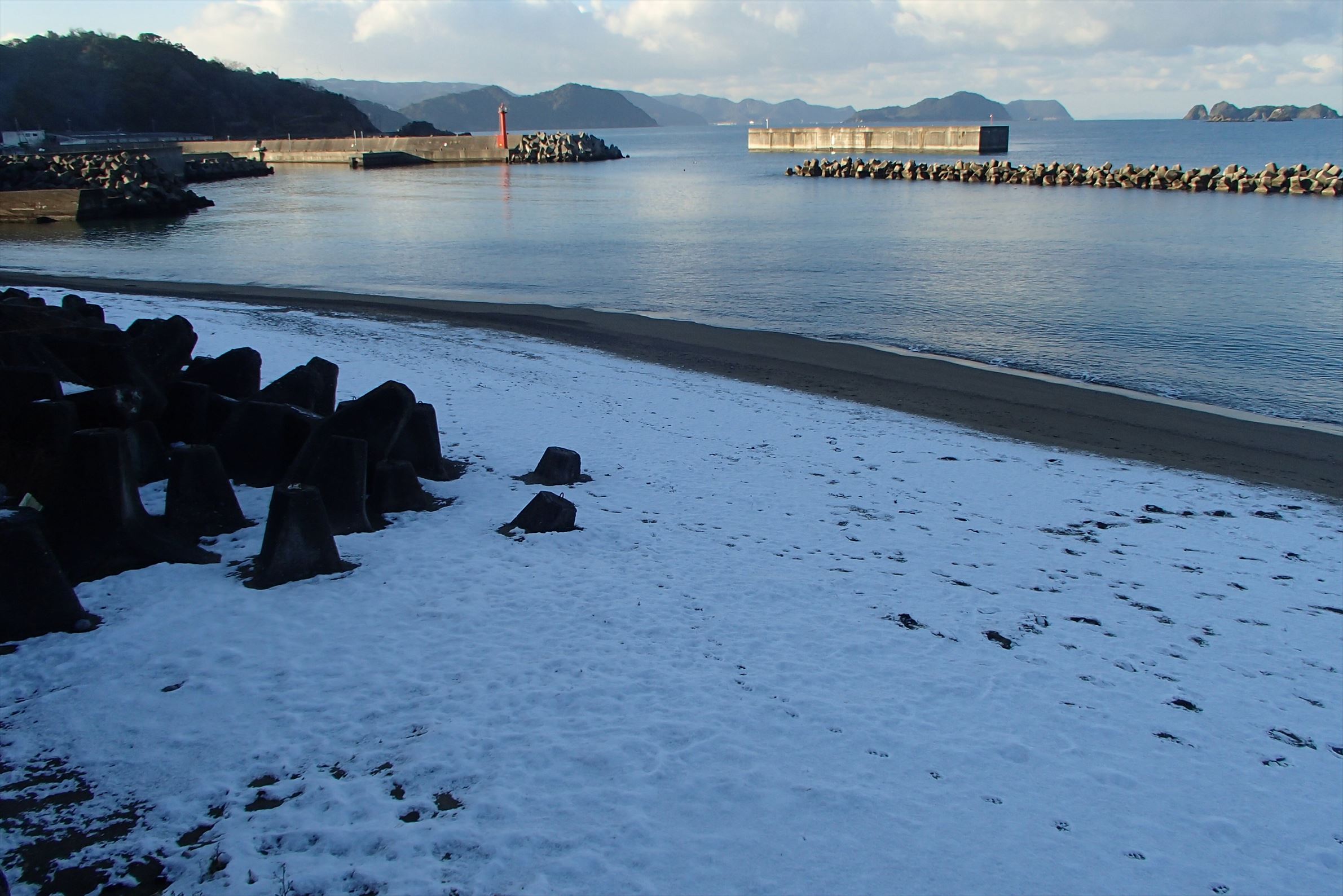 P1250010.jpg