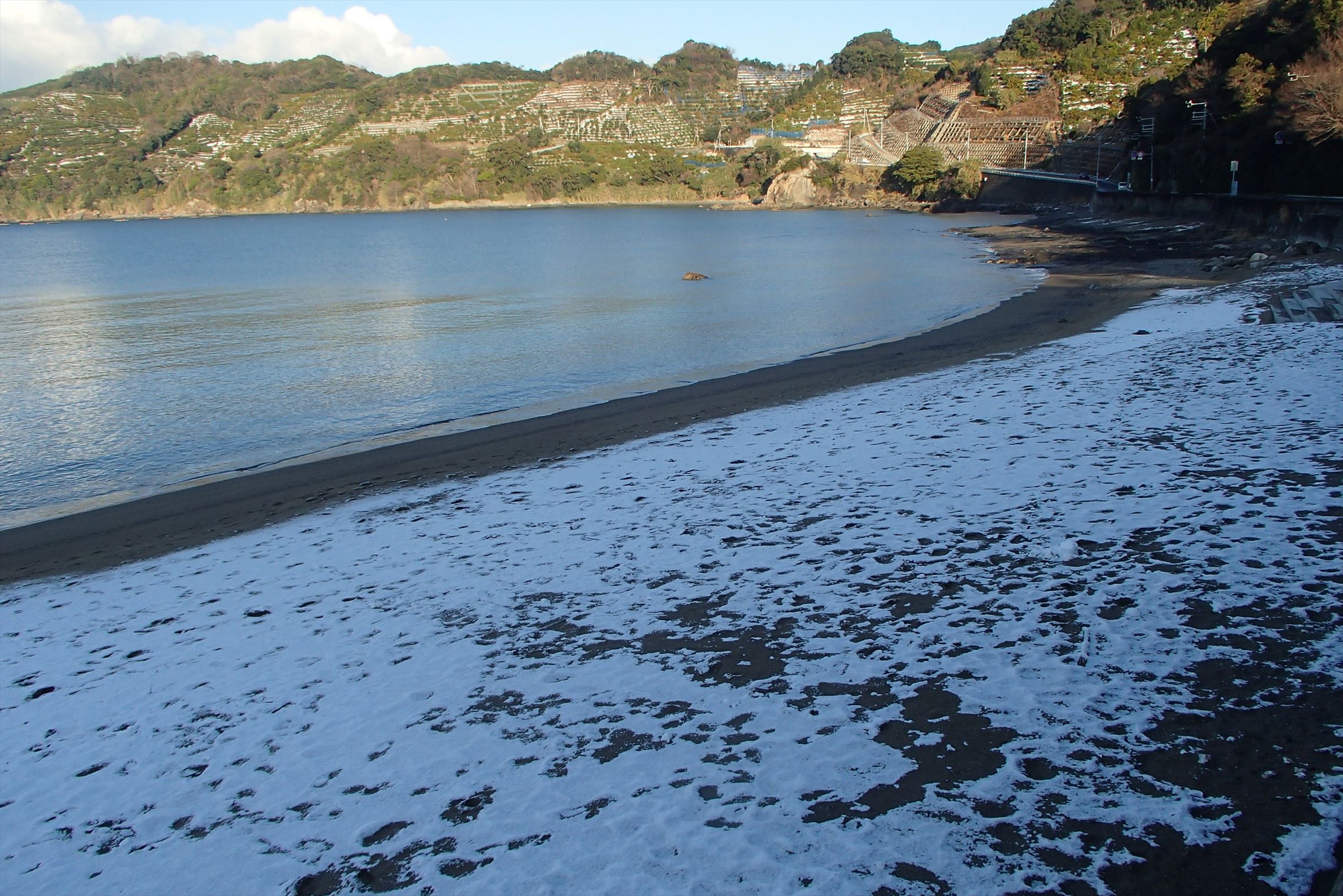 P1250012.jpg